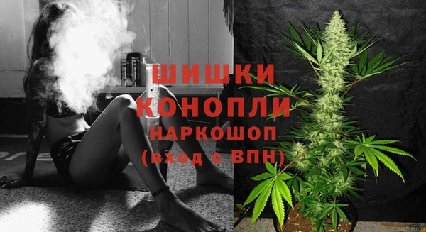 трава Абаза