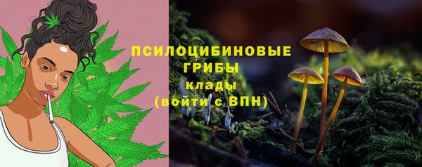 трава Абаза