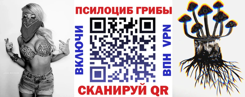 Галлюциногенные грибы MAGIC MUSHROOMS цена наркотик Темрюк