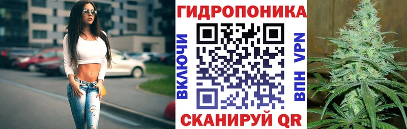 Бошки Шишки гибрид  купить наркоту  Темрюк 